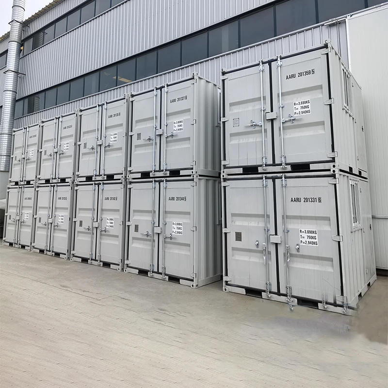 Conteneur de stockage de 10 pieds avec fenêtre